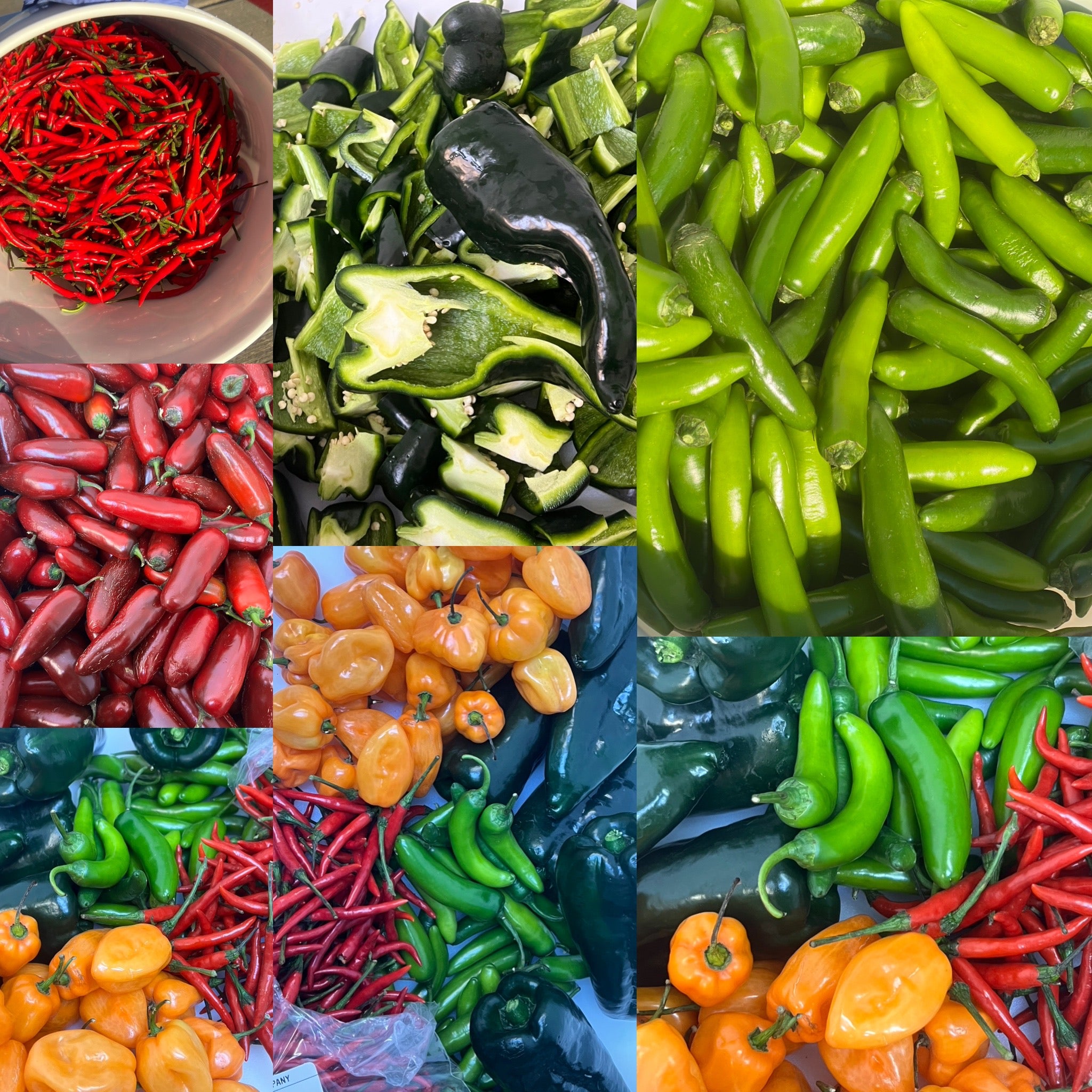 Hot Sauce arranged on a wooden surface with a rustic background