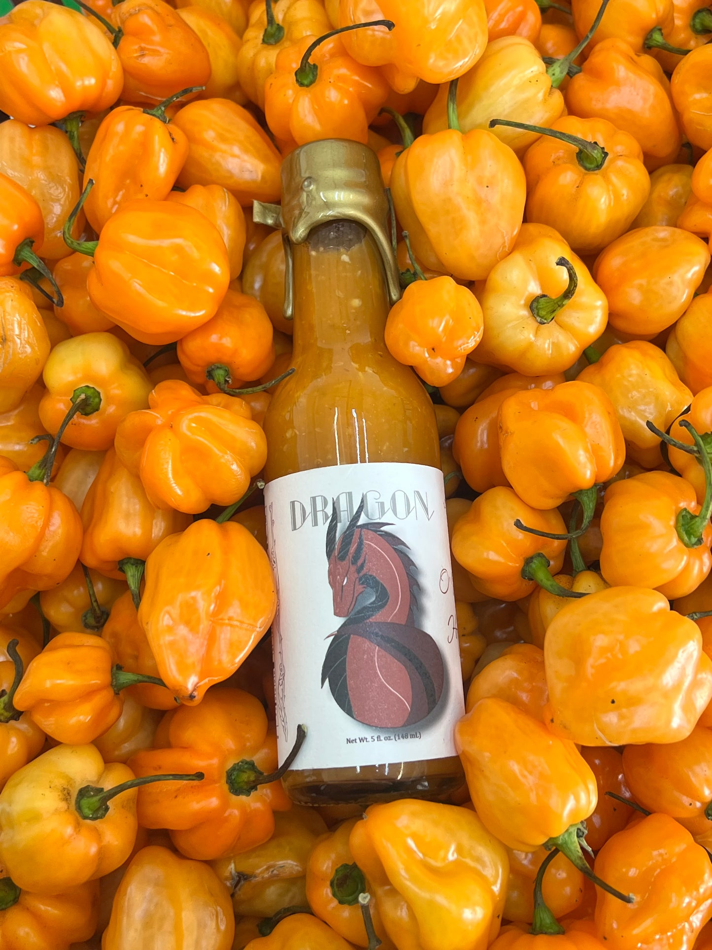 Dragon: Orange Habanero